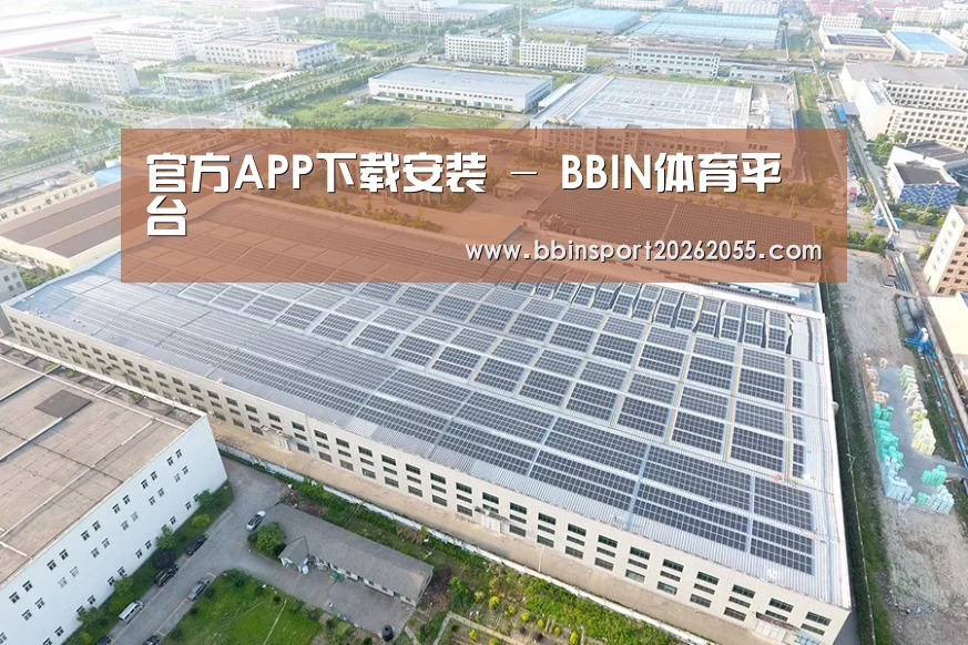 案例展示二