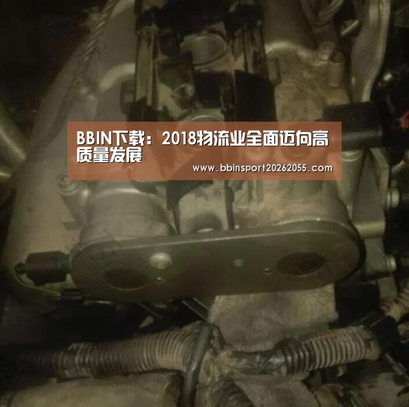 BBIN真人