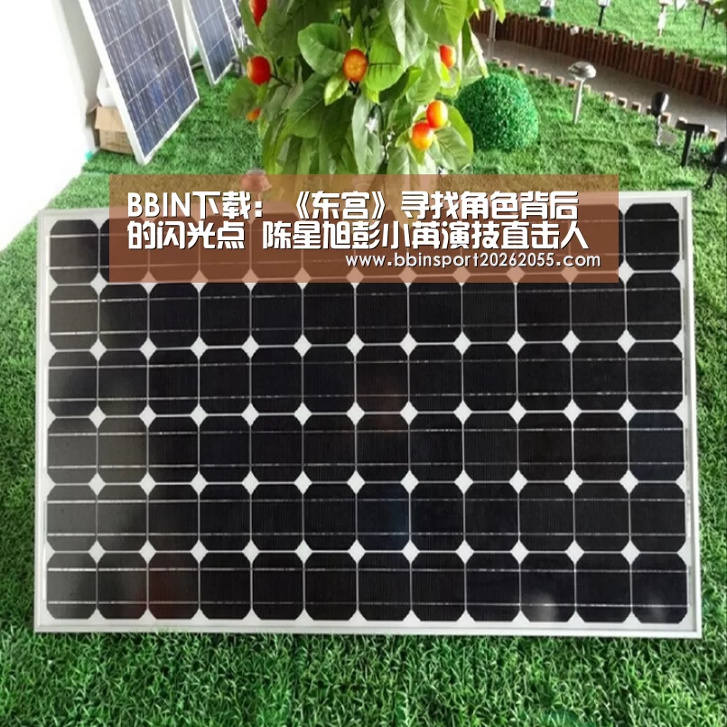 BBIN下载:《东宫》寻找角色背后的闪光点 陈星旭彭小苒演技直击人心(图3) BBIN真人