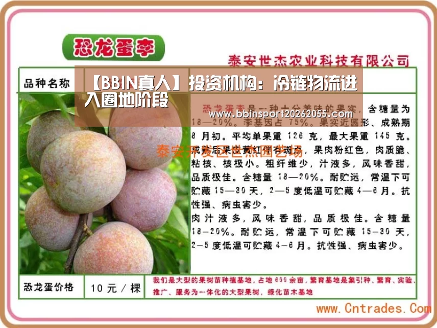 【BBIN真人】投资机构:冷链物流进入圈地阶段(图1) BBIN国际厅