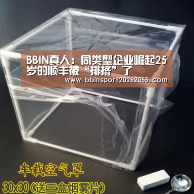 BBIN真人:同类型企业崛起25岁的顺丰被“排挤”了(图2) BBIN国际厅