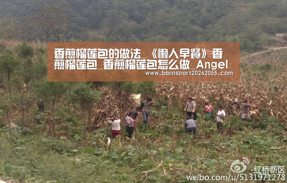 香煎榴莲包的做法_《懒人早餐》香煎榴莲包_香煎榴莲包怎么做_Angela春春的菜谱_BBIN赛事(图2) BBIN国际厅