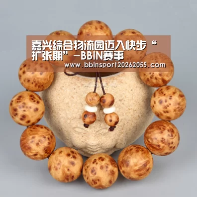 嘉兴综合物流园迈入快步“扩张期”-BBI