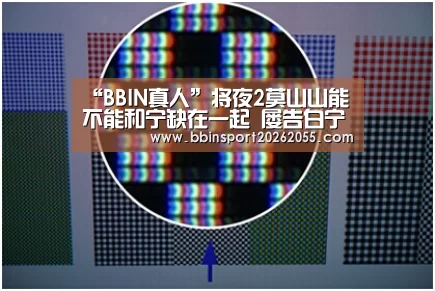 BBIN下载