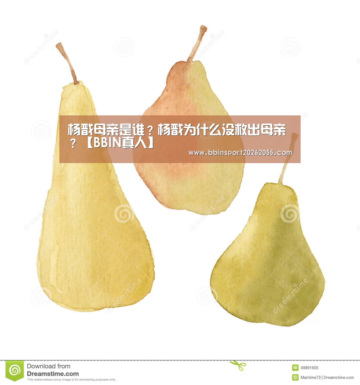 BBIN下载