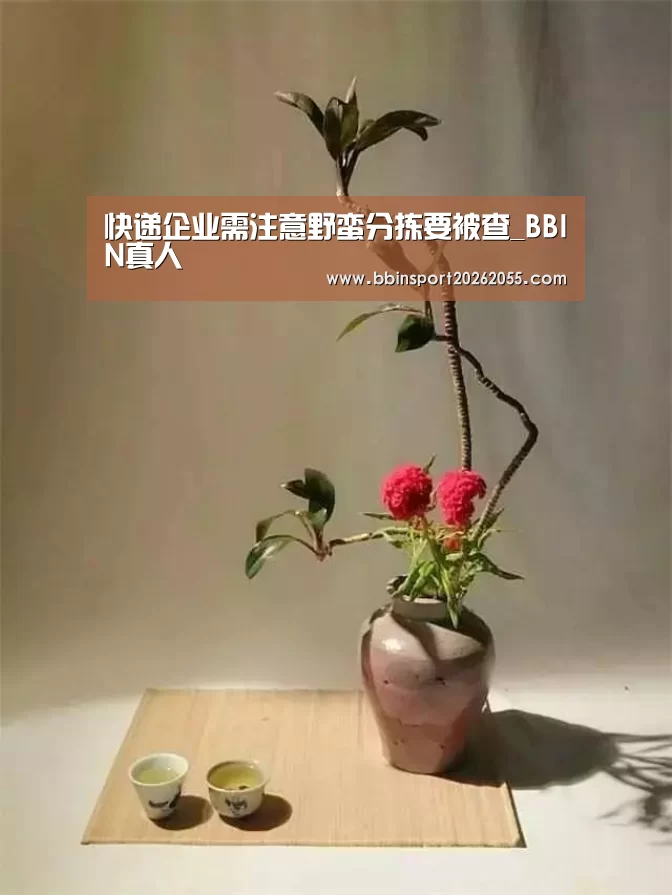 快递企业需注意野蛮分拣要被查_BBIN真人(图1) BBIN真人